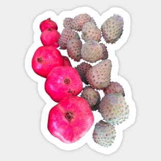 Pomegranate Tropical Fruit Sticker